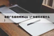 谁是广东麻将师傅app（广东麻将将是什么）