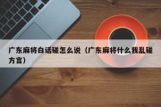 广东麻将白话碰怎么说（广东麻将什么我乱碰方言）