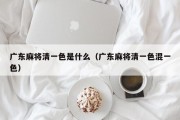 广东麻将清一色是什么（广东麻将清一色混一色）
