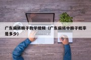 广东麻将赖子教学视频（广东麻将中赖子概率是多少）