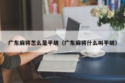 广东麻将怎么是平胡（广东麻将什么叫平胡）