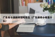 广东有小湖麻将馆吗现在（广东麻将小胡是什么）