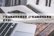 广东汕尾麻将出售信息（广东汕尾麻将出售信息大全）