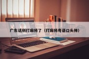 广东话别打麻将了（打麻将粤语口头禅）