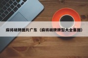 麻将胡牌图片广东（麻将胡牌牌型大全集图）