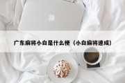 广东麻将小白是什么梗（小白麻将速成）
