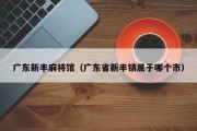 广东新丰麻将馆（广东省新丰镇属于哪个市）