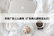 欢乐广东二人麻将（广东两人麻将怎么打）