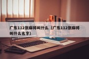 广东112张麻将叫什么（广东112张麻将叫什么名字）